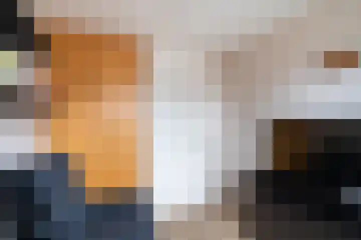 Kwartsiet 8 Zoetermeer thumbnail 43