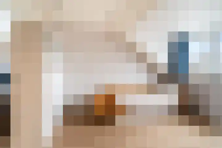 Kwartsiet 8 Zoetermeer thumbnail 45