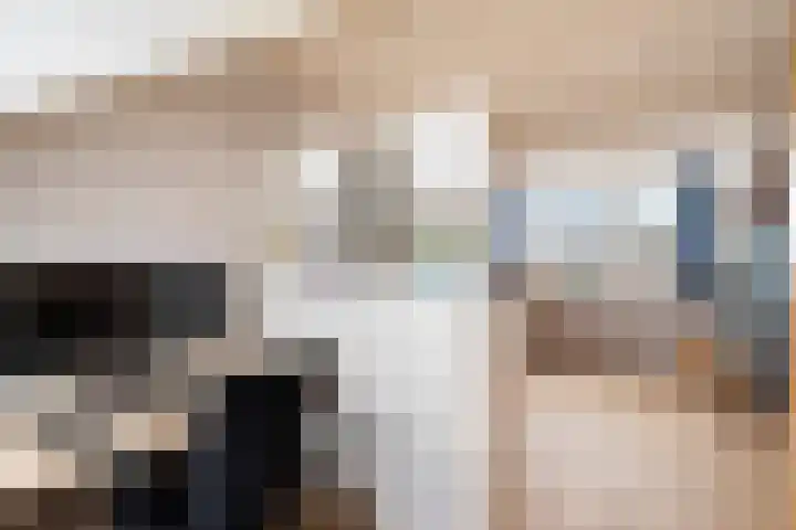 Kwartsiet 8 Zoetermeer thumbnail 47