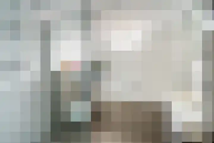Kwartsiet 8 Zoetermeer thumbnail 5