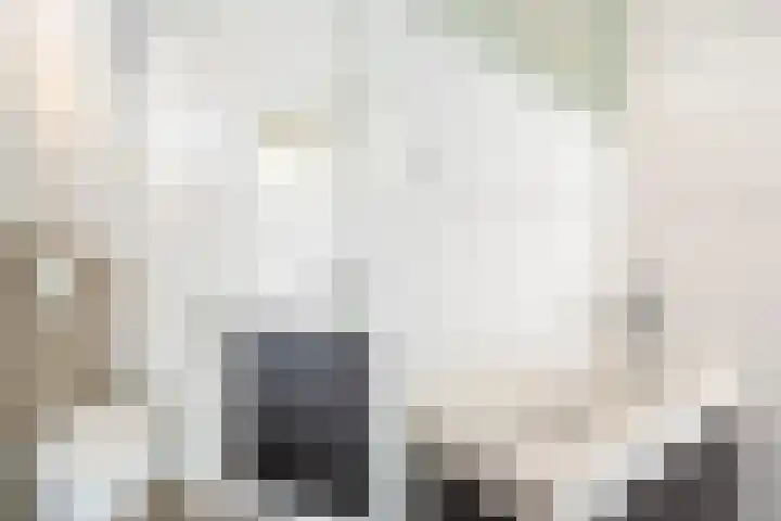 Kwartsiet 8 Zoetermeer thumbnail 51