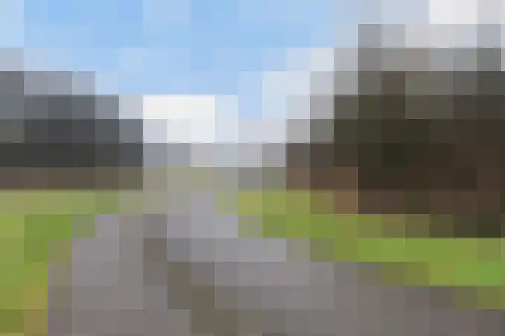 Kwartsiet 8 Zoetermeer thumbnail 54