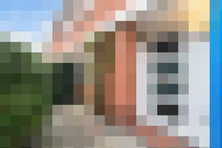 Kwartsiet 8 Zoetermeer thumbnail 7