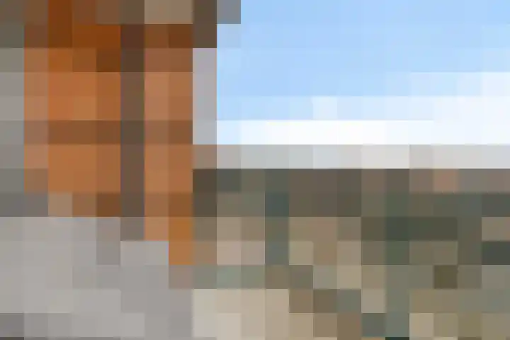 Kwartslaan 39 Rhoon thumbnail 14