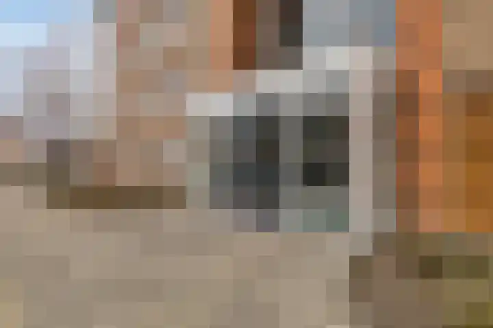 Kwartslaan 39 Rhoon thumbnail 6