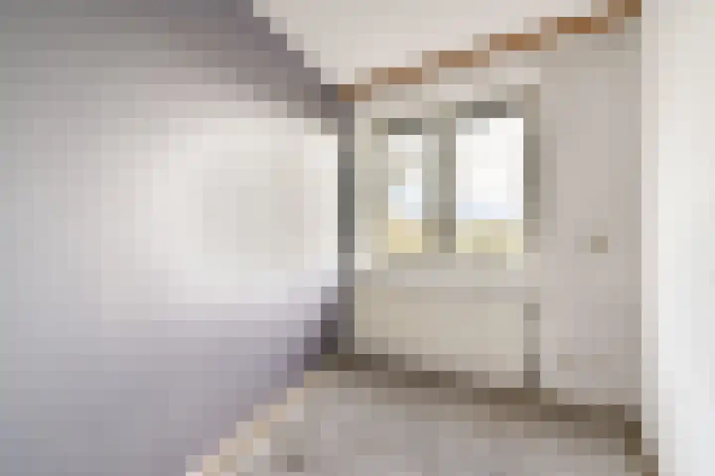 Kwartslaan 49 Rhoon thumbnail 16