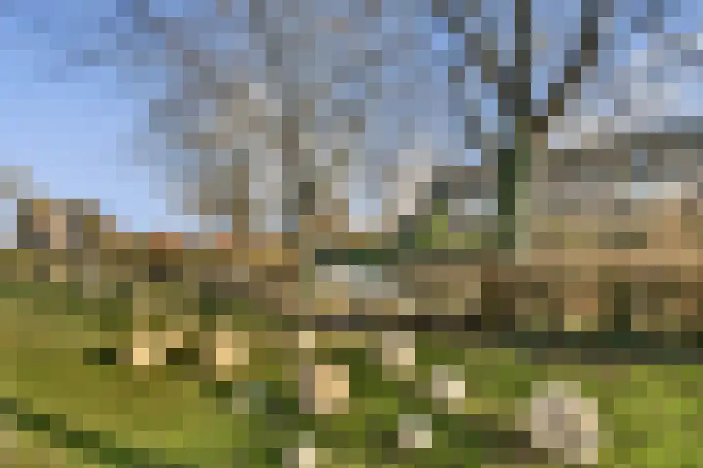 Kwartslaan 49 Rhoon thumbnail 26