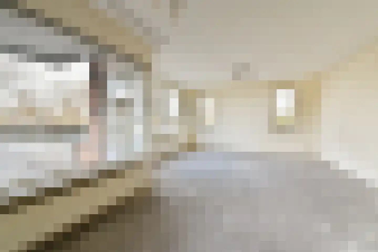 Kwartslaan 49 Rhoon thumbnail 9