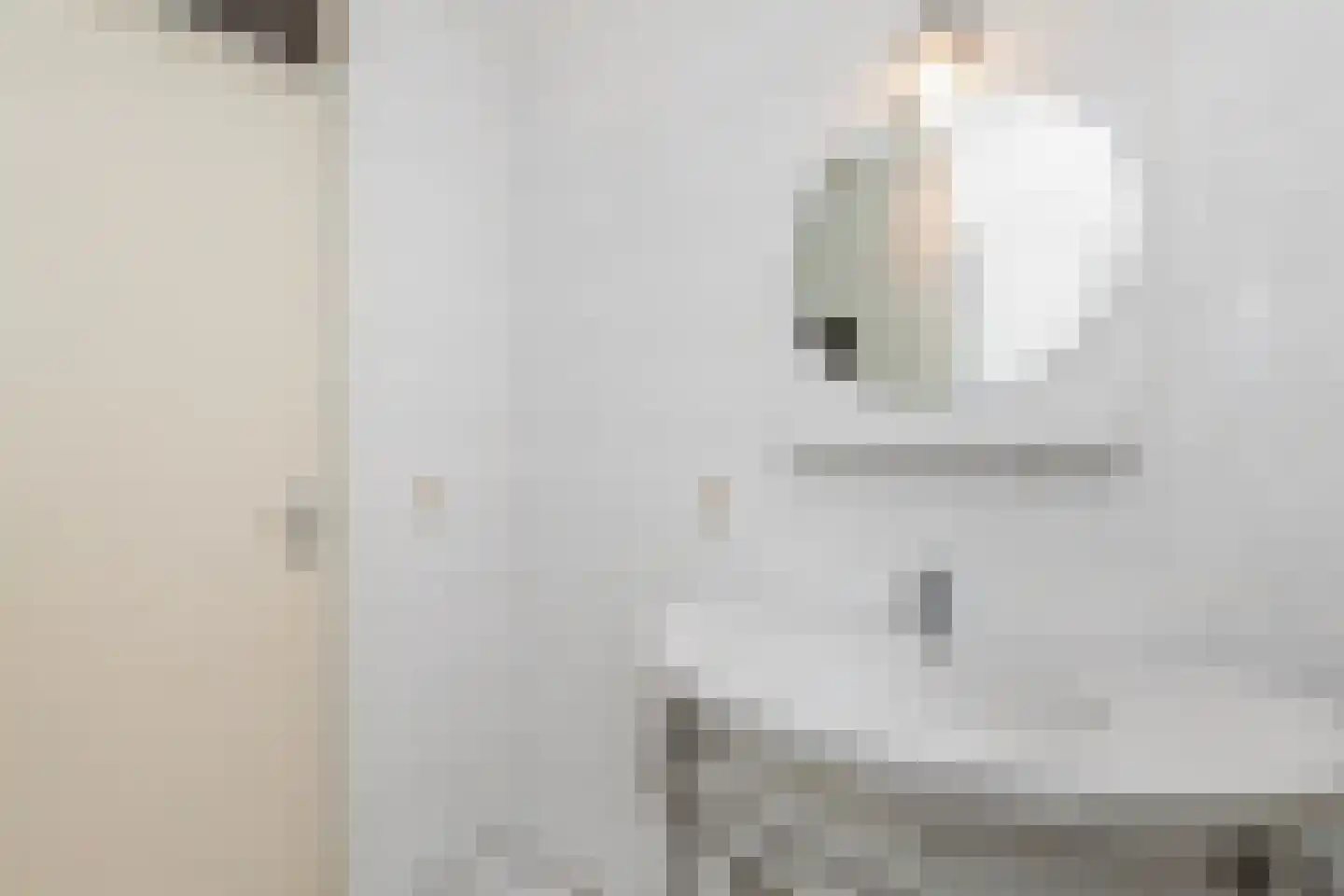 Kwartslaan 51 Rhoon thumbnail 31