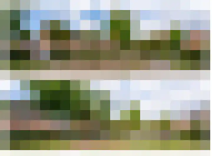 Kwartslaan 9 Rhoon thumbnail 34