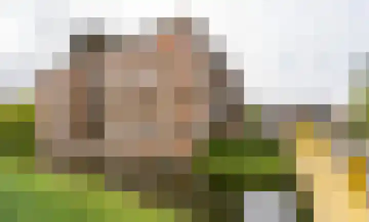 Kwartslaan 9 Rhoon thumbnail 6