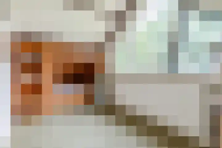 Kwartslaan 95 Rhoon thumbnail 24