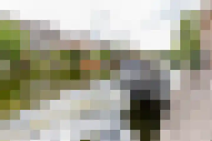 Kwartslaan 95 Rhoon thumbnail 4