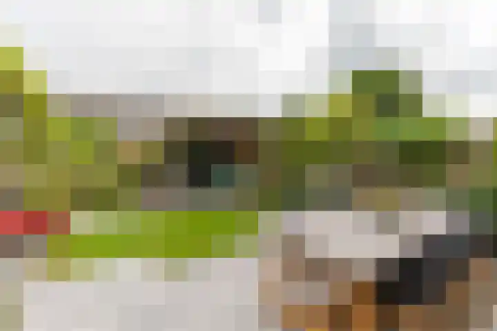 Kwartslaan 95 Rhoon thumbnail 67