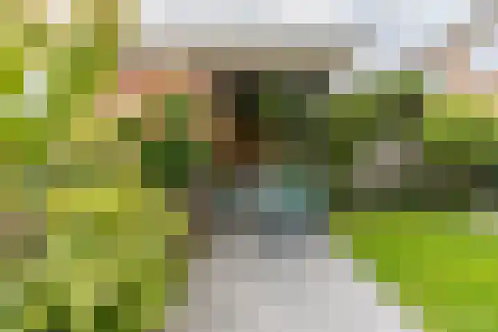 Kwartslaan 95 Rhoon thumbnail 70