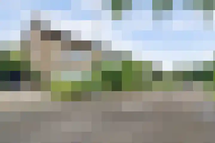 Kwartslaan 95 Rhoon thumbnail 76