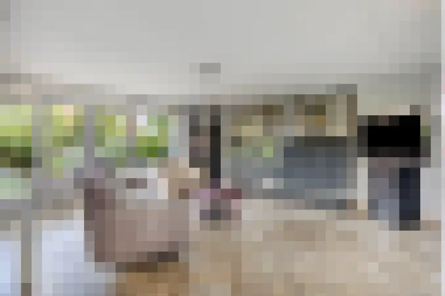 Kwartslag 5 Gouda thumbnail 8