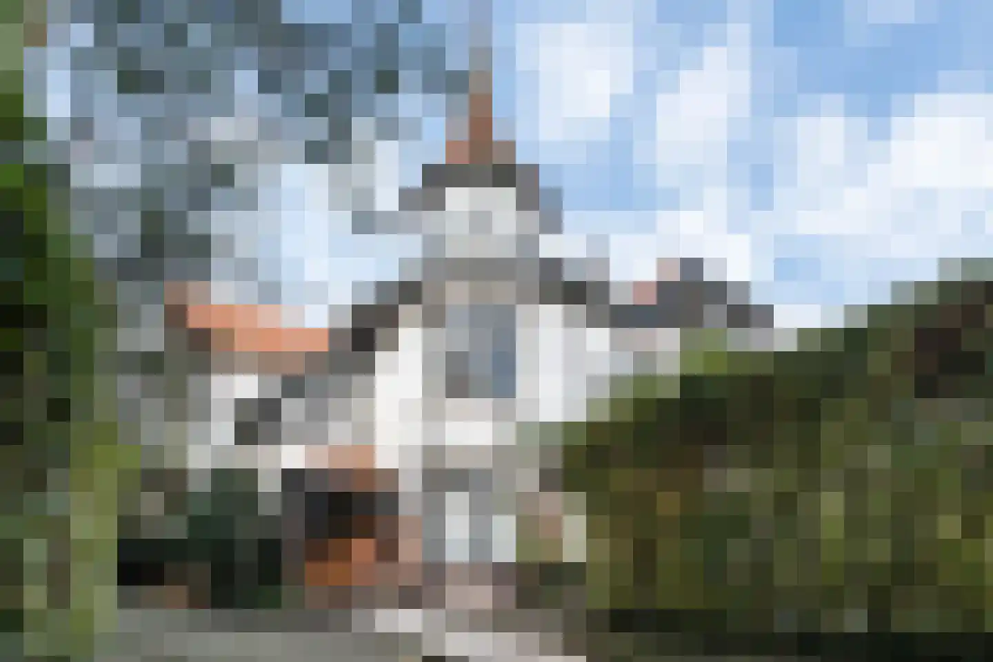 Kweekduinweg 12 Overveen thumbnail 24
