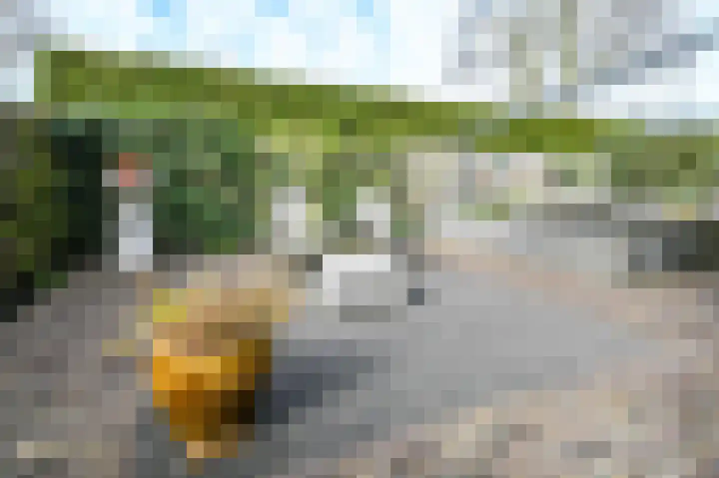 Kweekerslaan 10 Santpoort-Noord thumbnail 36
