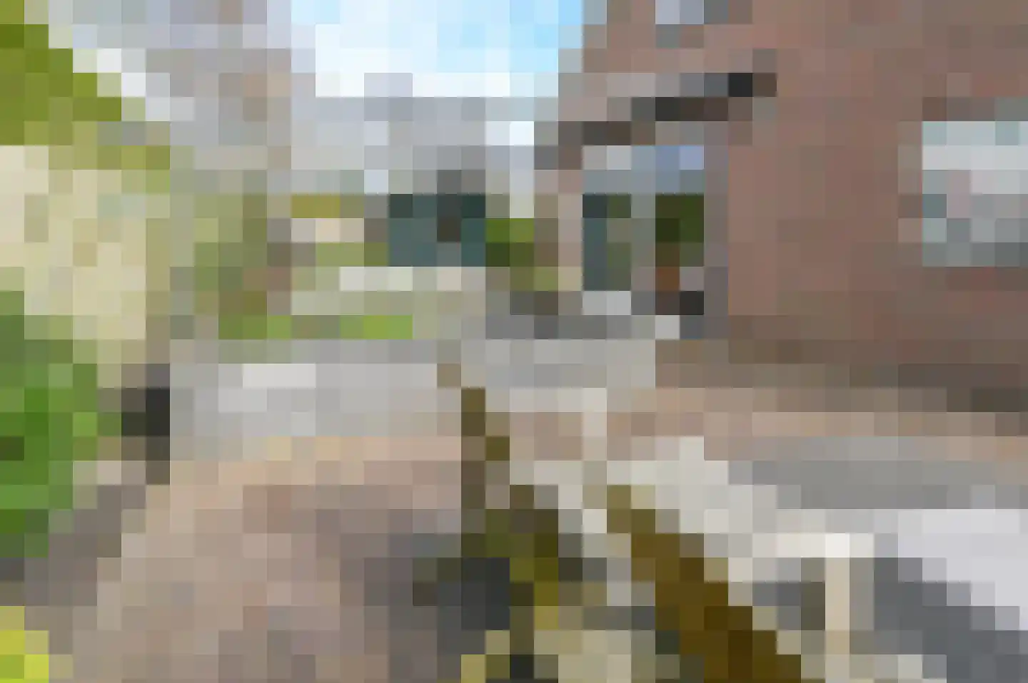Kweekerslaan 10 Santpoort-Noord thumbnail 4
