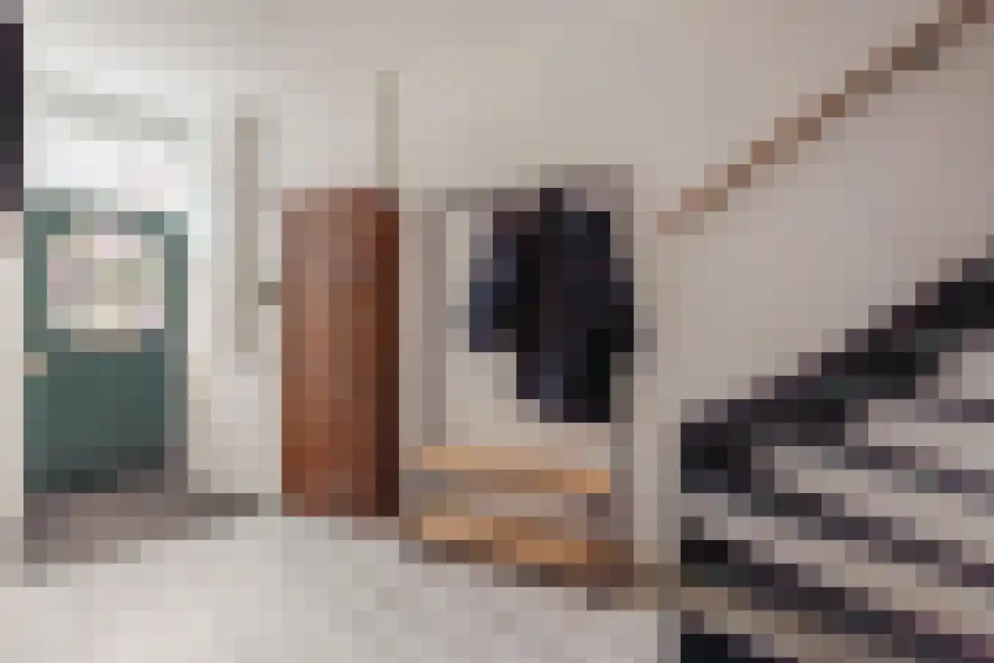 Kweekerstraat 10 Zaandam thumbnail 10