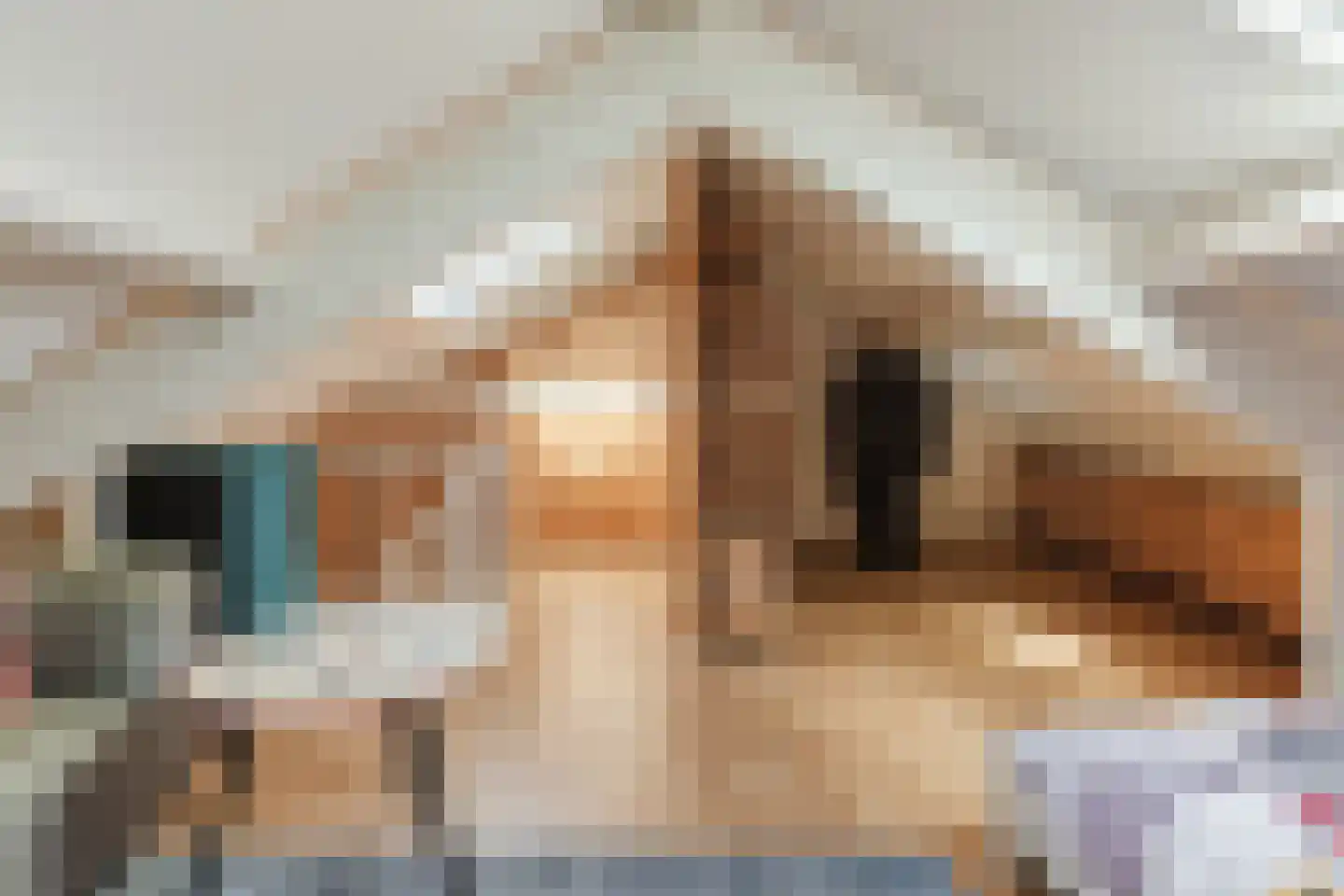 Kweekerstraat 10 Zaandam thumbnail 36