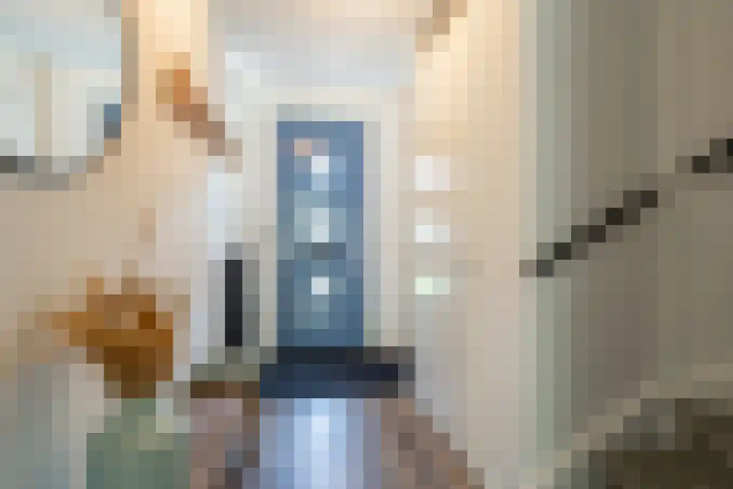 Kweekgrasdreef 10 Harderwijk thumbnail 12