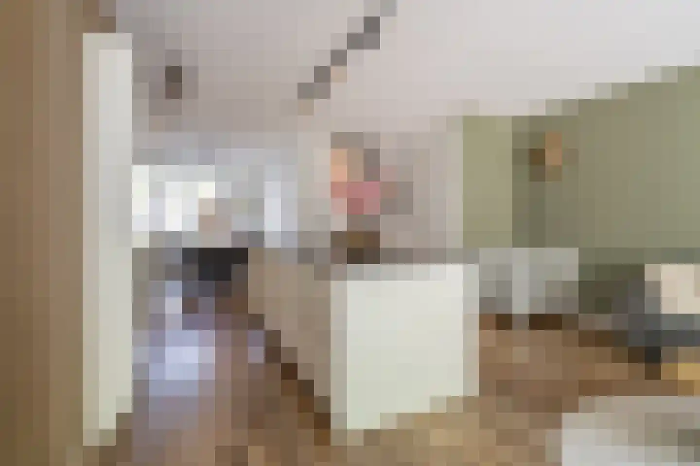 Kweekgrasdreef 10 Harderwijk thumbnail 20