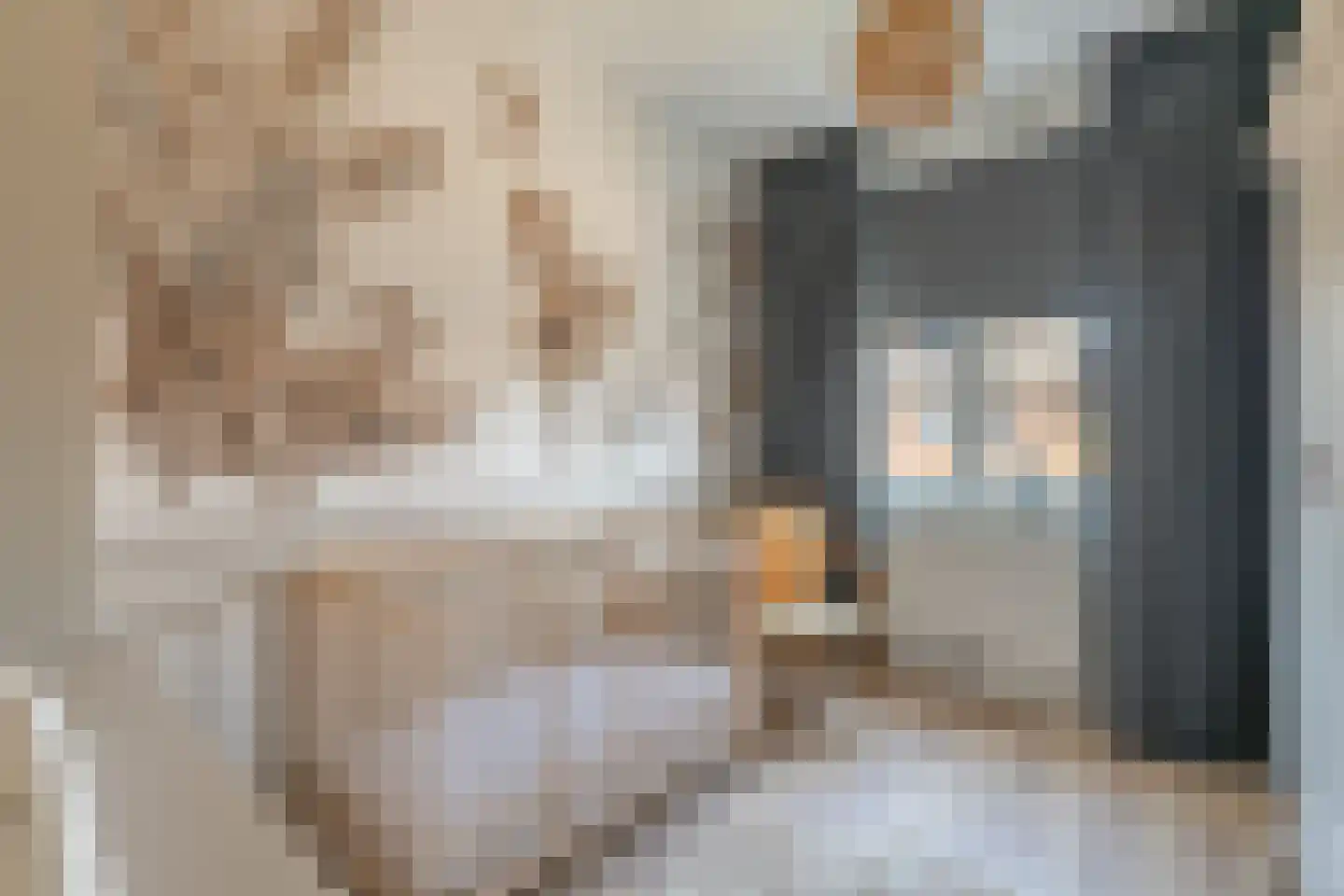 Kweekgrasdreef 10 Harderwijk thumbnail 33