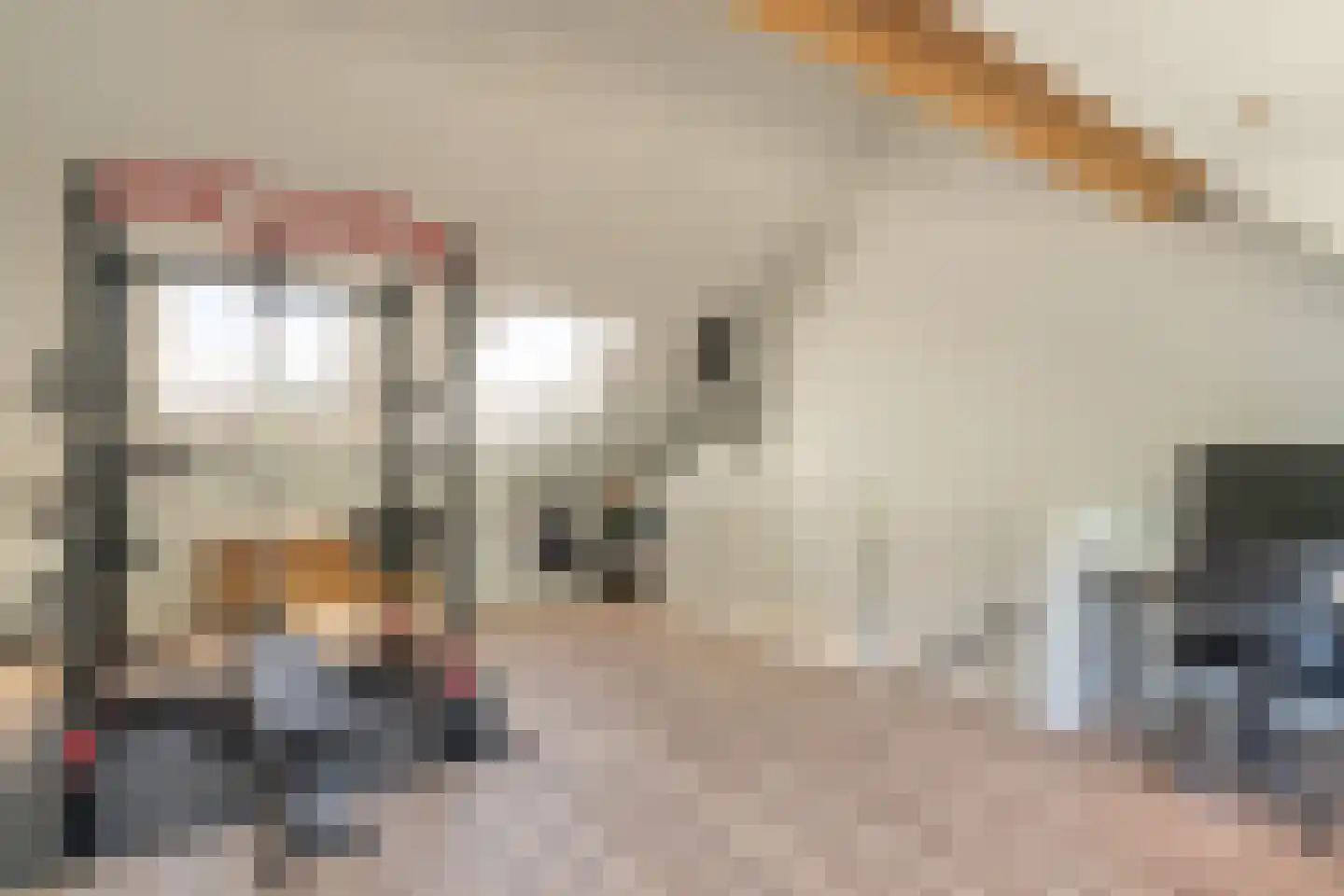 Kweekgrasdreef 10 Harderwijk thumbnail 39