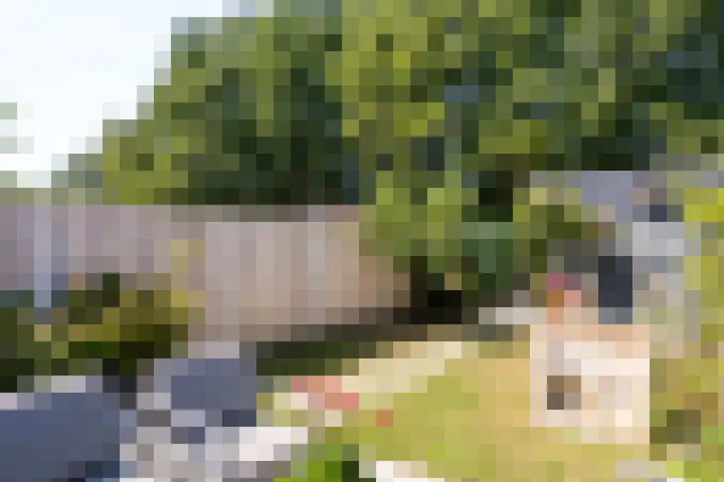 Kweekgrasdreef 10 Harderwijk thumbnail 44