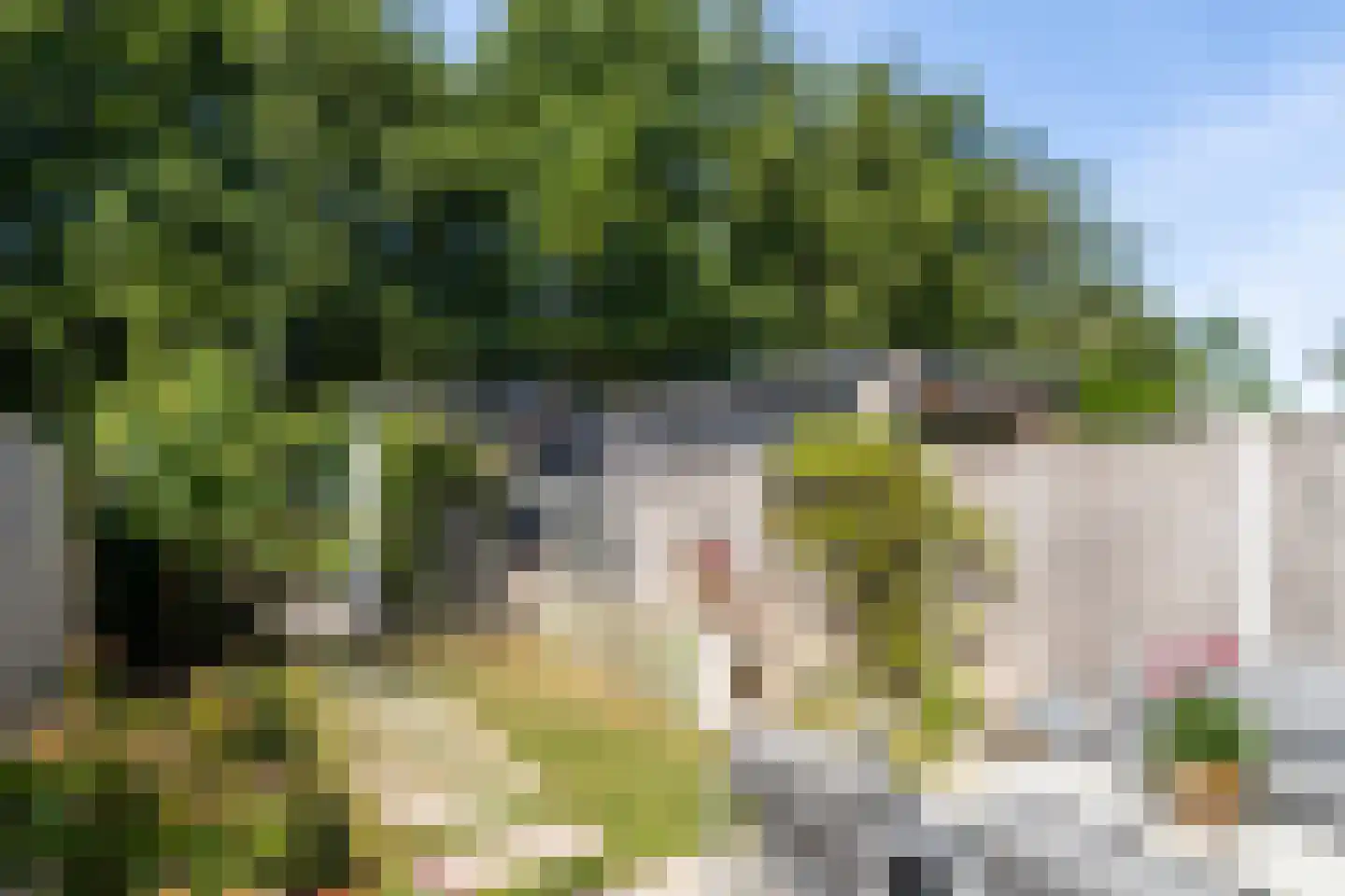 Kweekgrasdreef 10 Harderwijk thumbnail 45