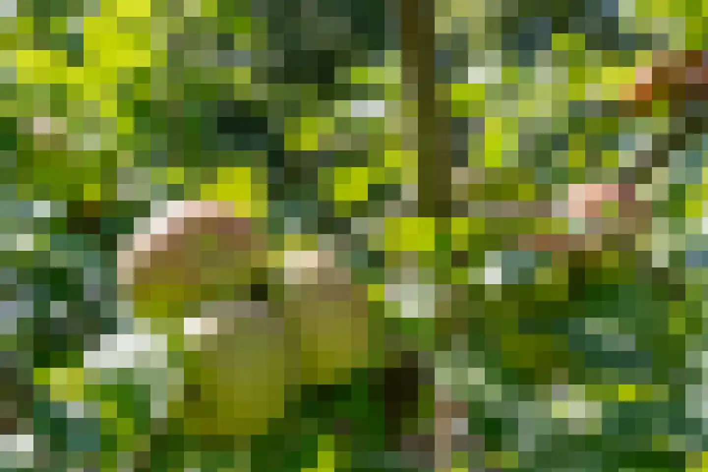 Kweekgrasdreef 10 Harderwijk thumbnail 46