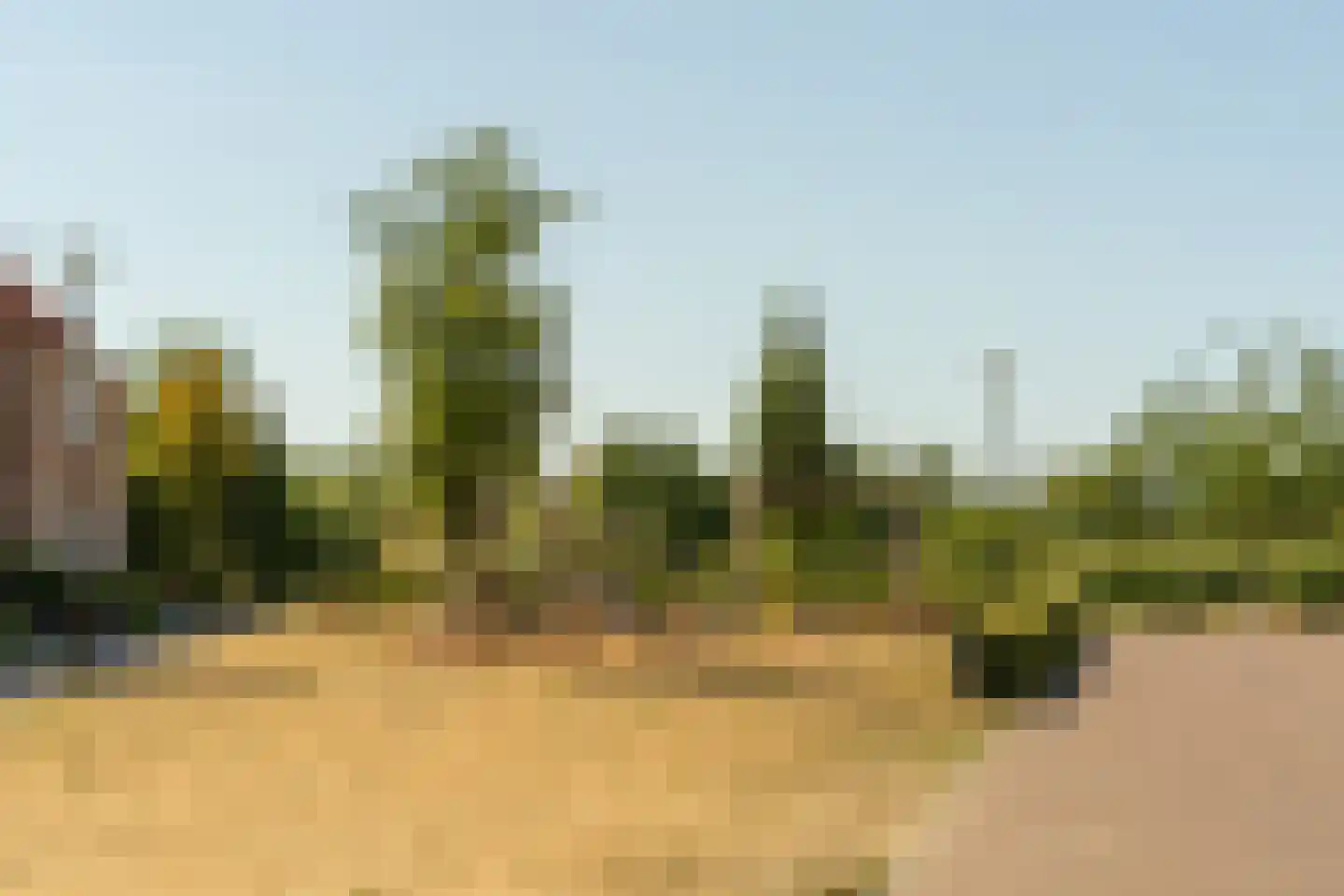 Kweekgrasdreef 10 Harderwijk thumbnail 51