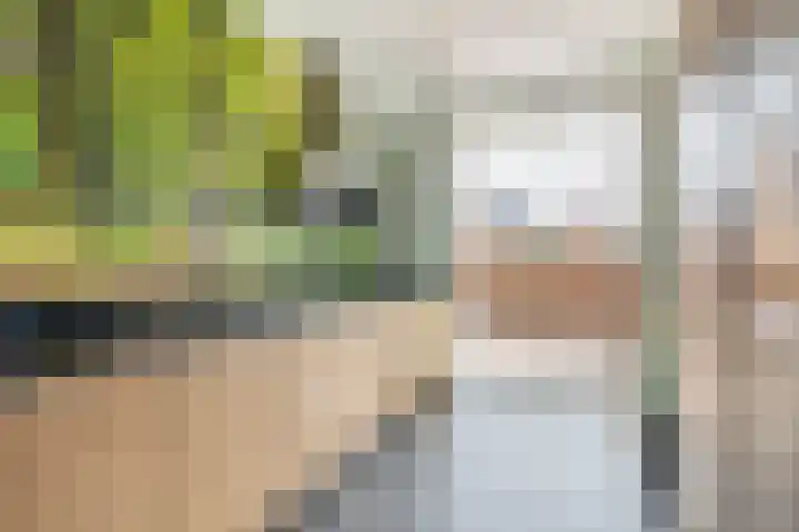 Kweekgrasdreef 12 Harderwijk thumbnail 12