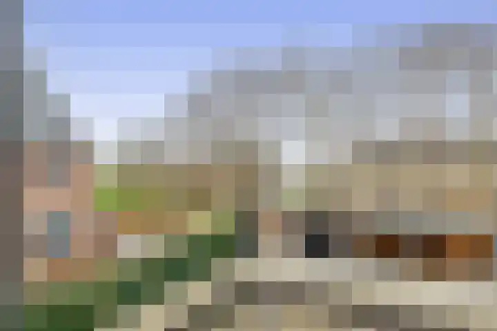 Kweekgrasdreef 12 Harderwijk thumbnail 19