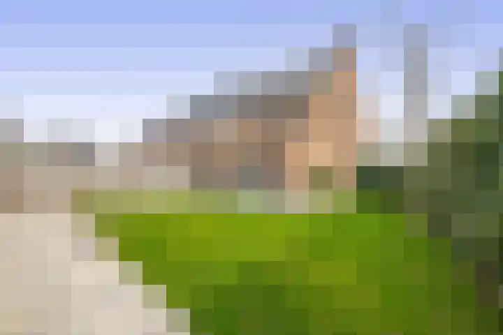 Kweekgrasdreef 12 Harderwijk thumbnail 26