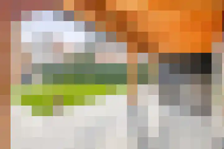 Kweekgrasdreef 12 Harderwijk thumbnail 29