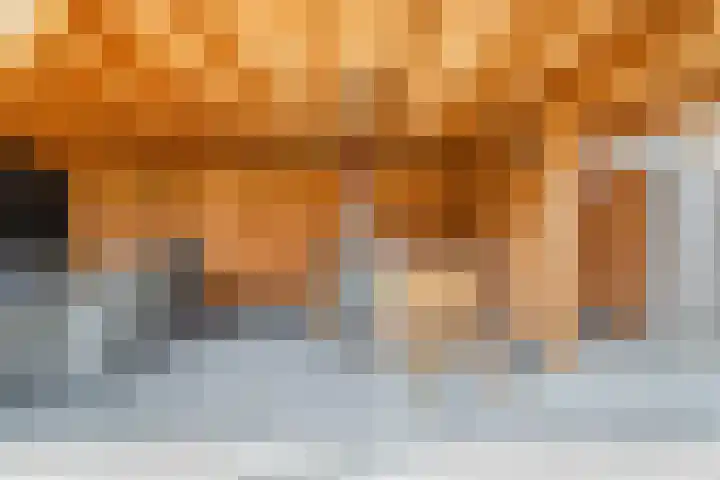 Kweekgrasdreef 12 Harderwijk thumbnail 30