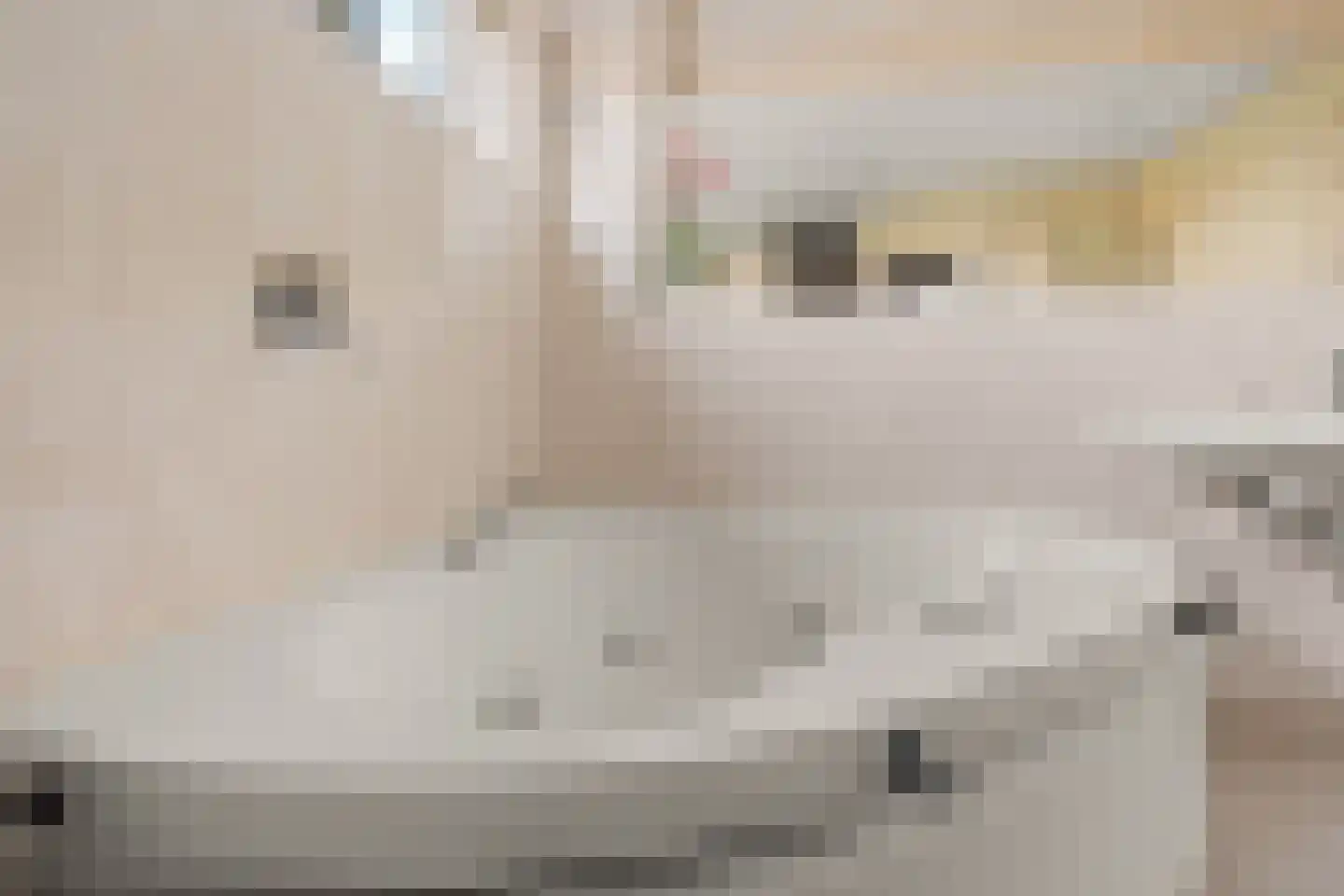 Kweekgrasstraat 32 Almere thumbnail 39