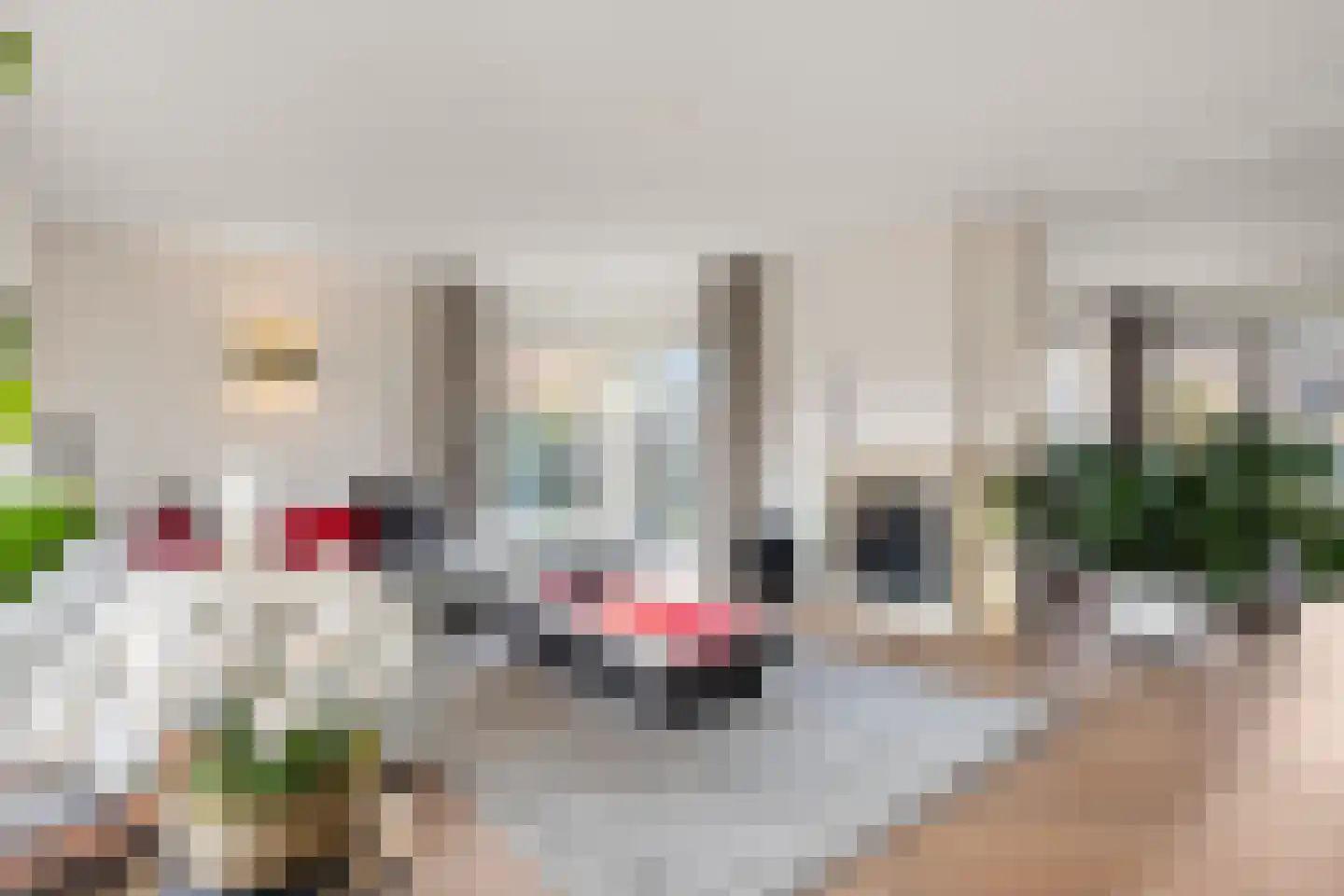 Kweekgrasstraat 32 Almere thumbnail 9