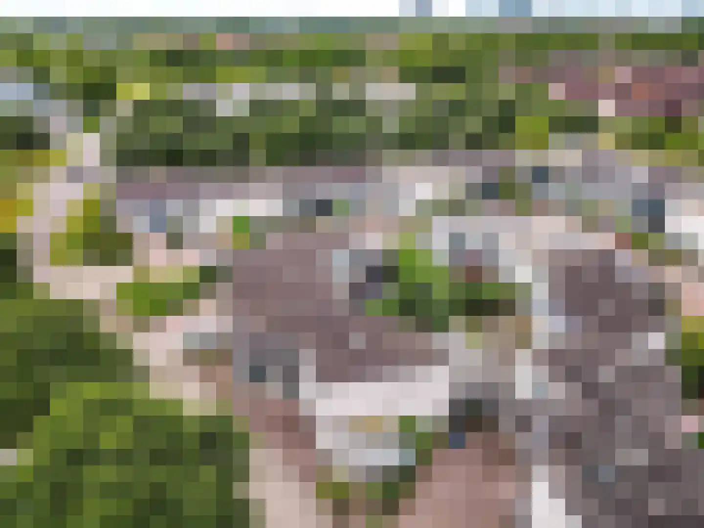 Kweekgrasstraat 5 Almere thumbnail 55