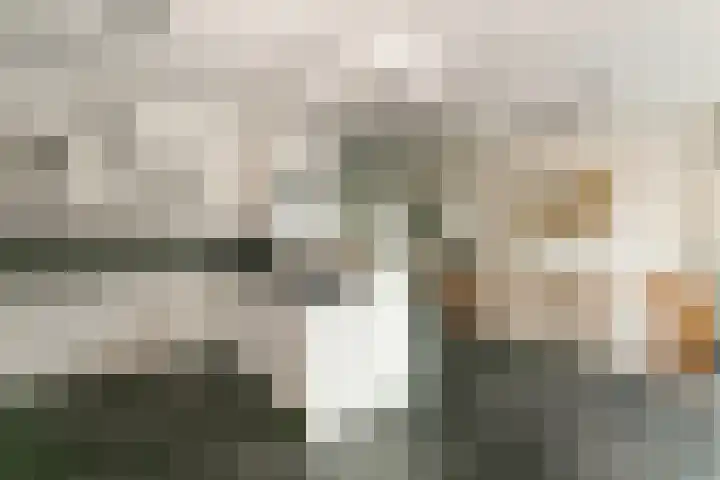 Kweekhoeve 5 Nieuwegein thumbnail 16