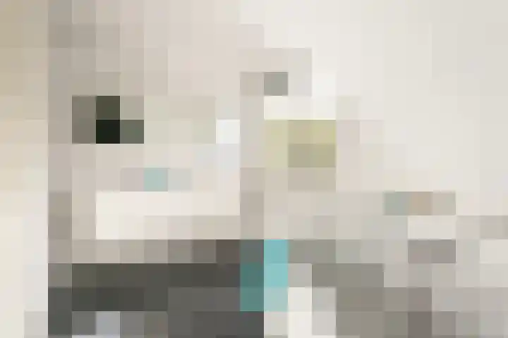 Kweekhoeve 5 Nieuwegein thumbnail 32