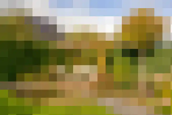 Kweekhoeve 5 Nieuwegein thumbnail 37