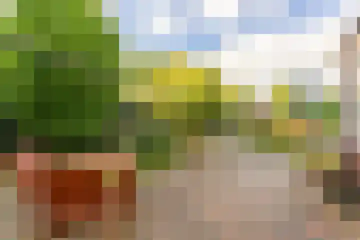 Kweekhoeve 5 Nieuwegein thumbnail 38