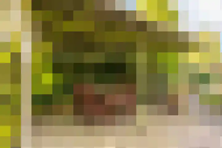 Kweekhoeve 5 Nieuwegein thumbnail 39