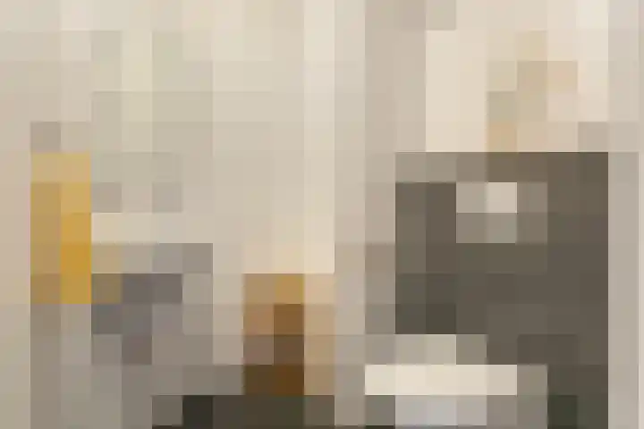 Kweekhoeve 5 Nieuwegein thumbnail 6