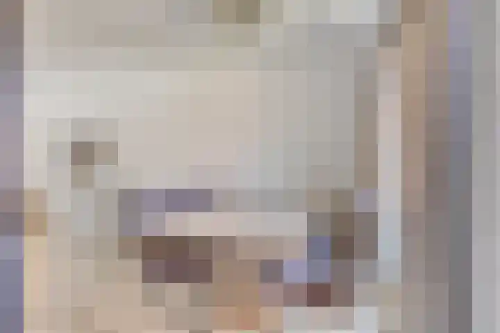 Kweekhoven 19 Amsterdam thumbnail 15