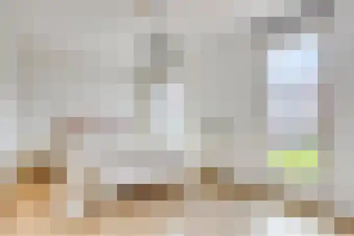 Kweekhoven 19 Amsterdam thumbnail 18